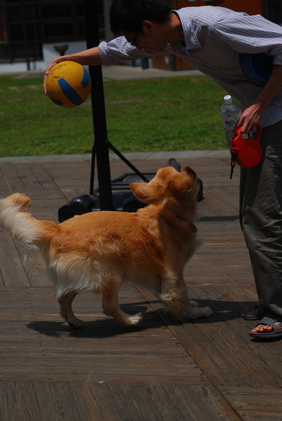 DSC_0007