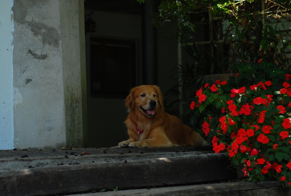 DSC_0118