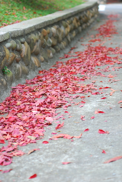 DSC_0186