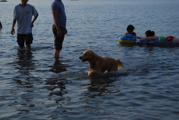 DSC_0206.JPG