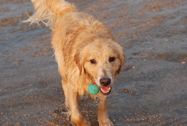 DSC_0256.JPG