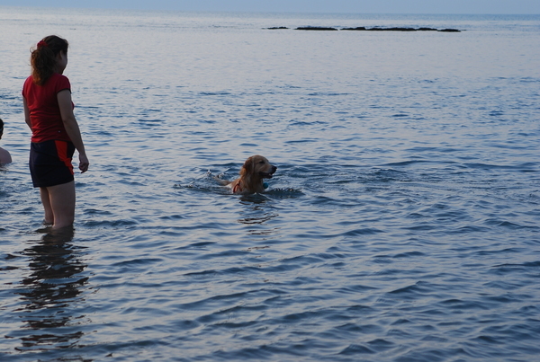 DSC_0276.JPG