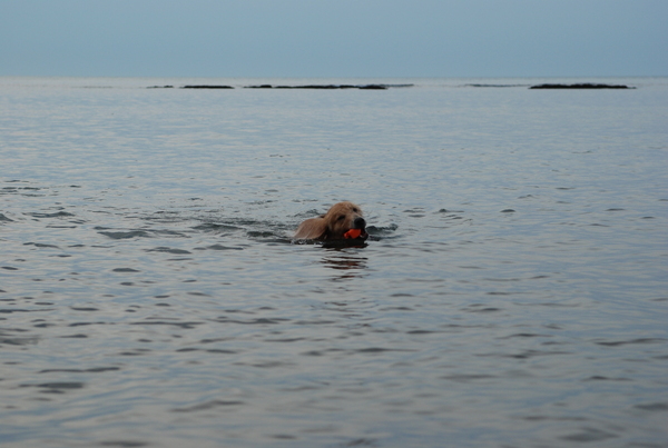 DSC_0305.JPG