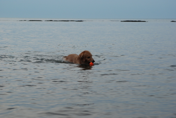 DSC_0306.JPG