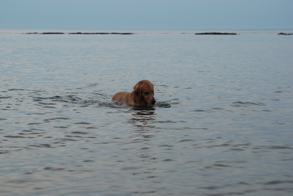 DSC_0307.JPG