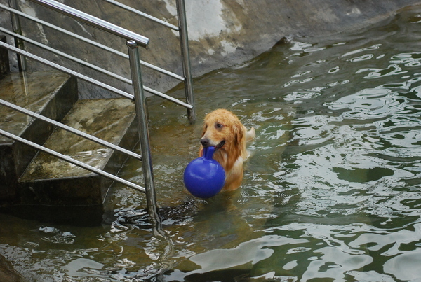 DSC_0018.JPG