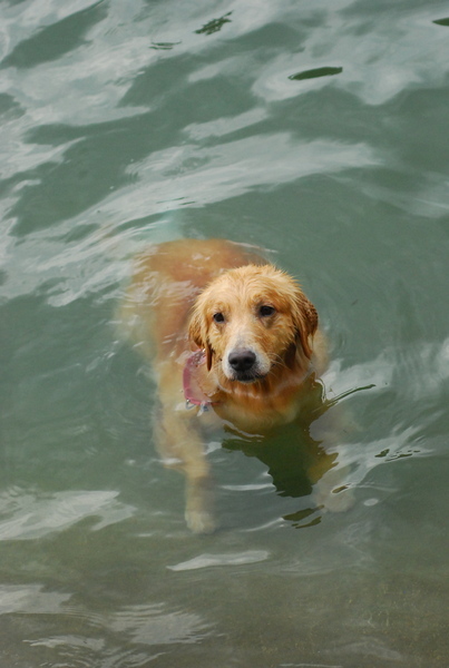 DSC_0041.JPG