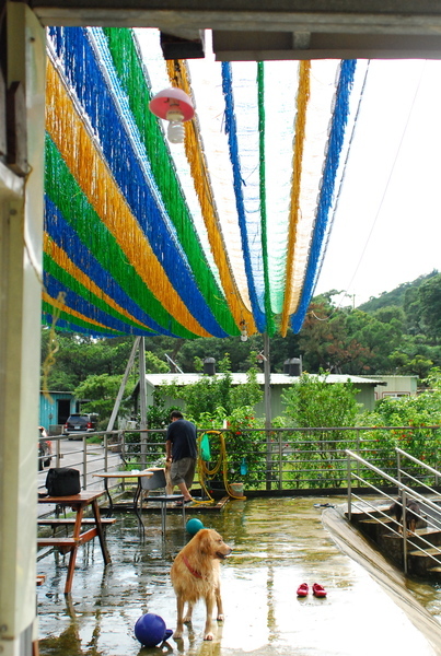 DSC_0050.JPG