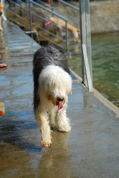 DSC_0092.JPG