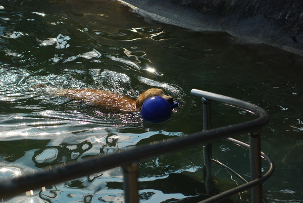 DSC_0093.JPG