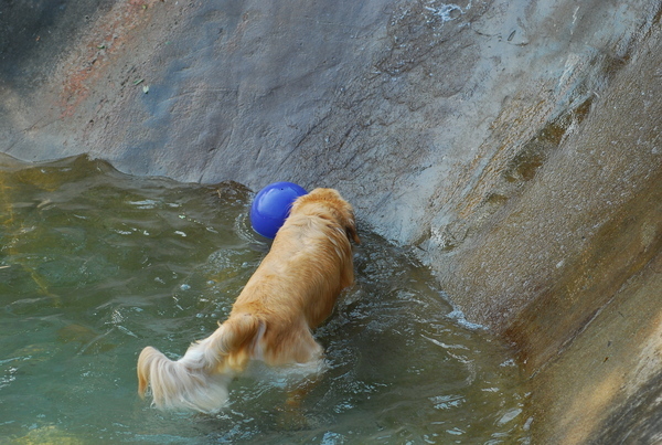 DSC_0094.JPG