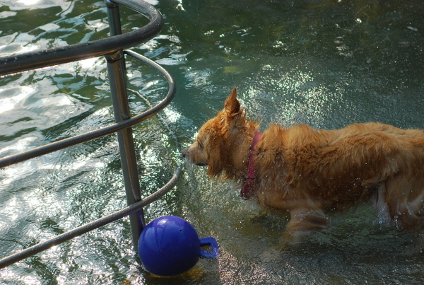 DSC_0095.JPG