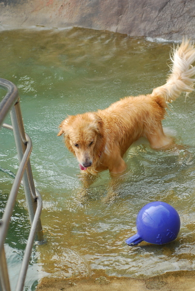 DSC_0111.JPG