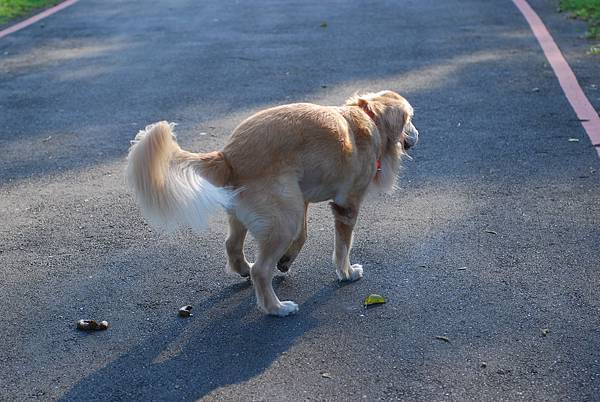 DSC_0006.JPG