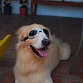 DSC_0109.JPG