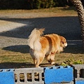 DSC_0126.JPG