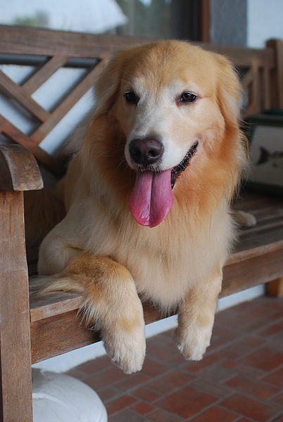 DSC_0033.JPG