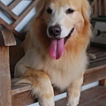 DSC_0033.JPG