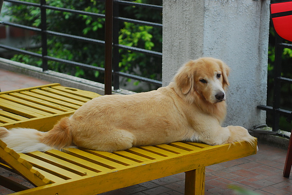 DSC_0369.JPG