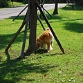 DSC_0046.JPG