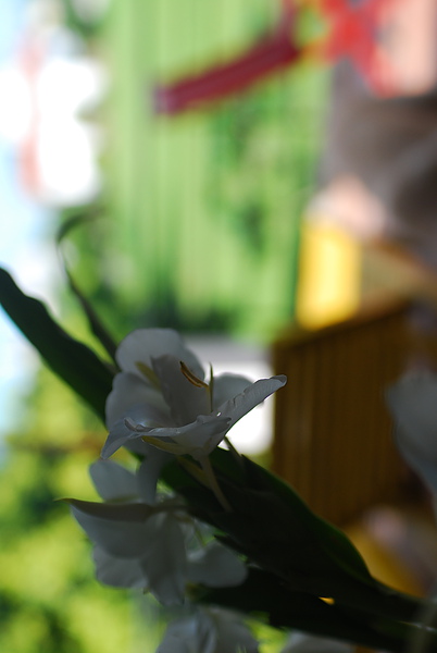 DSC_0061.JPG