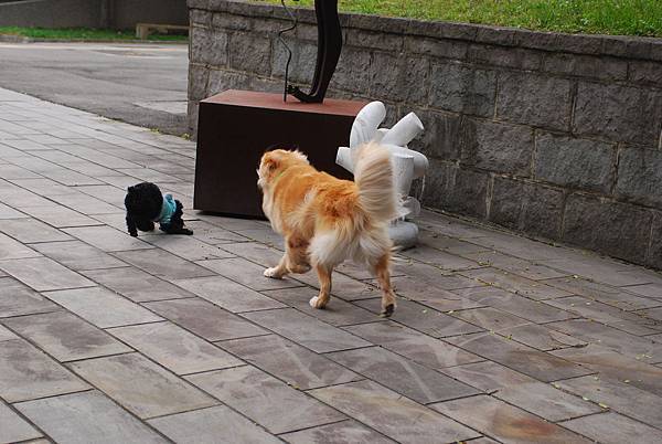 DSC_0009.JPG