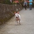 DSC_0065.JPG