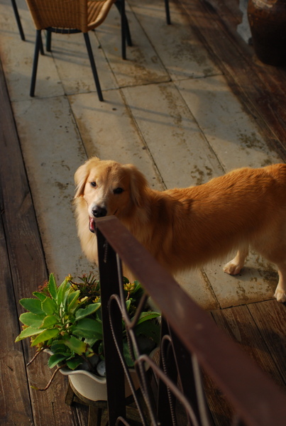 DSC_0338.JPG