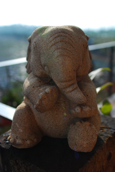 DSC_0367.JPG