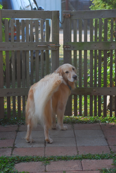 DSC_0392.JPG