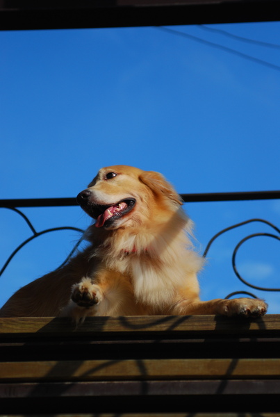 DSC_0416.JPG