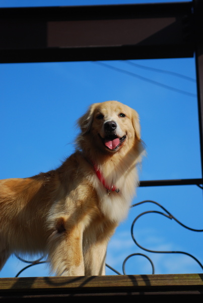 DSC_0414.JPG