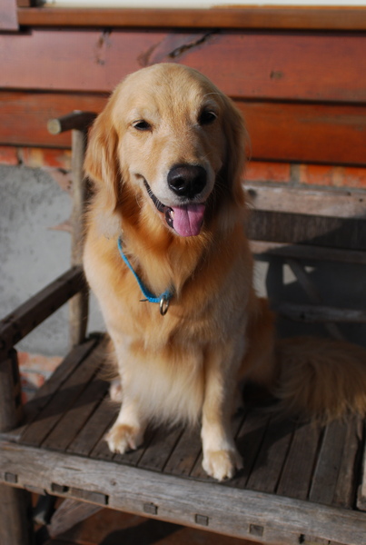 DSC_0382.JPG