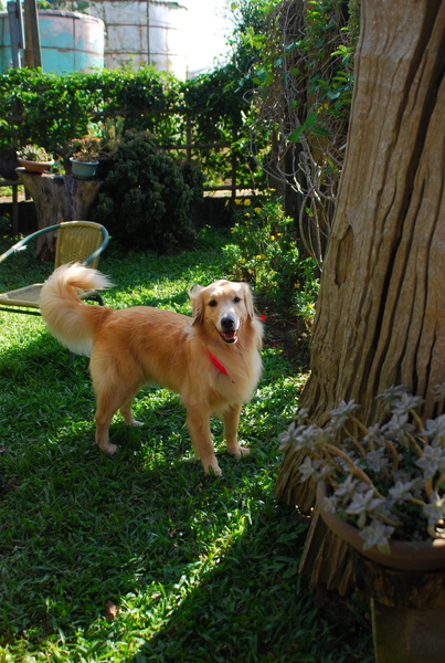 DSC_0447.JPG