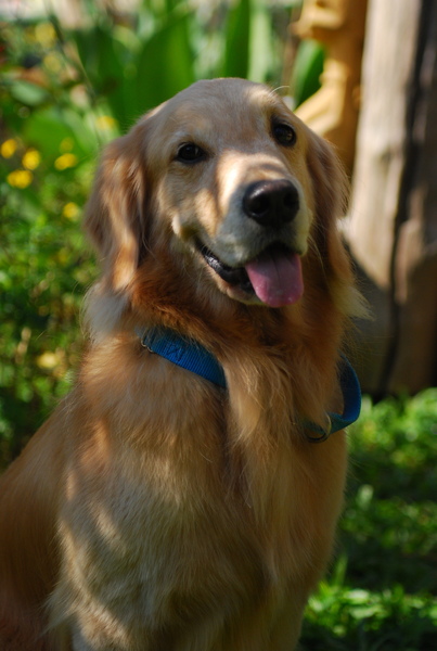 DSC_0463.JPG