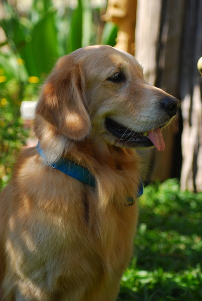 DSC_0464.JPG