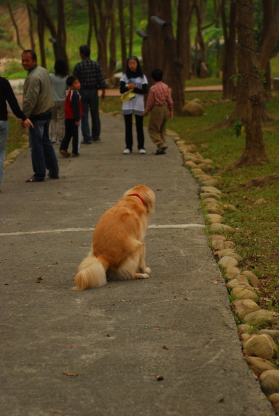 DSC_0495.JPG