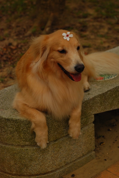 DSC_0587.JPG