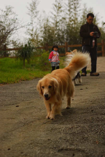DSC_0567.JPG