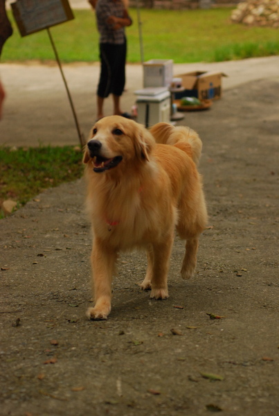 DSC_0557.JPG