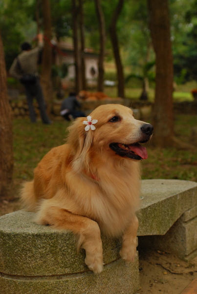 DSC_0589.JPG
