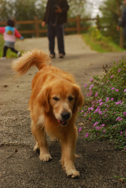 DSC_0563.JPG