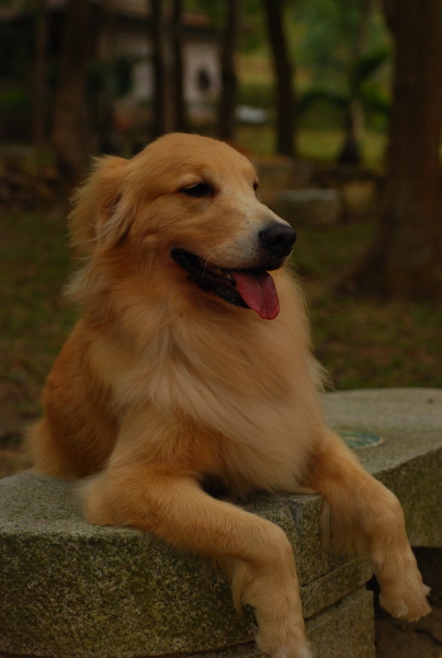 DSC_0592.JPG