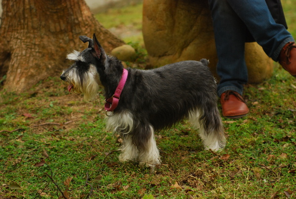 DSC_0648.JPG