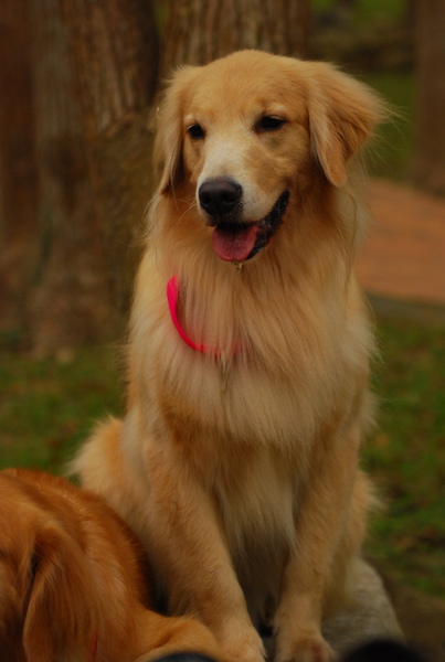 DSC_0619.JPG