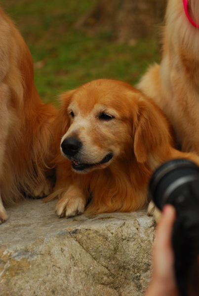 DSC_0618.JPG