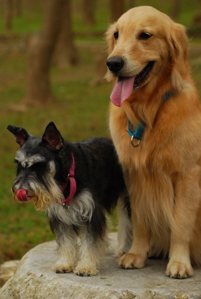 DSC_0614.JPG