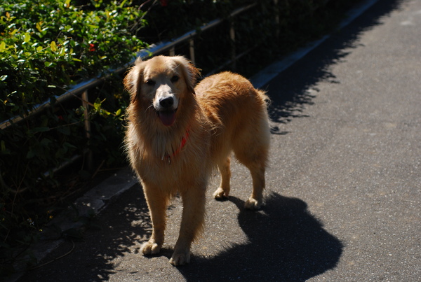 DSC_0276.JPG