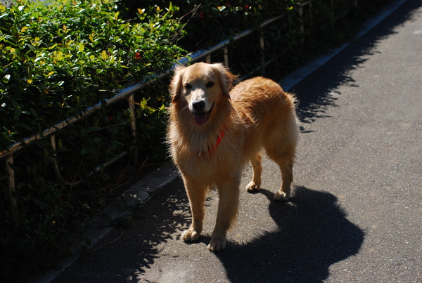 DSC_0274.JPG