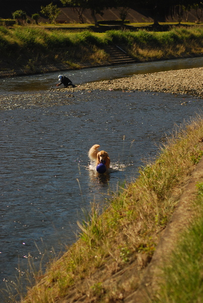DSC_0263.JPG